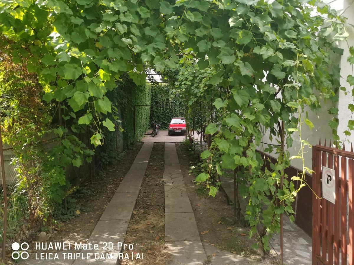 Enjoy Hostel Cluj-Napoca Eksteriør billede